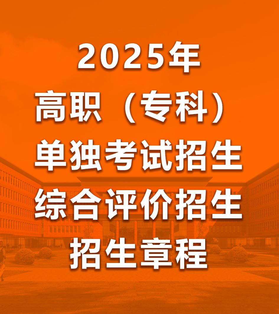 2025年單獨(dú)考試招生和綜合評(píng)價(jià)招生章程